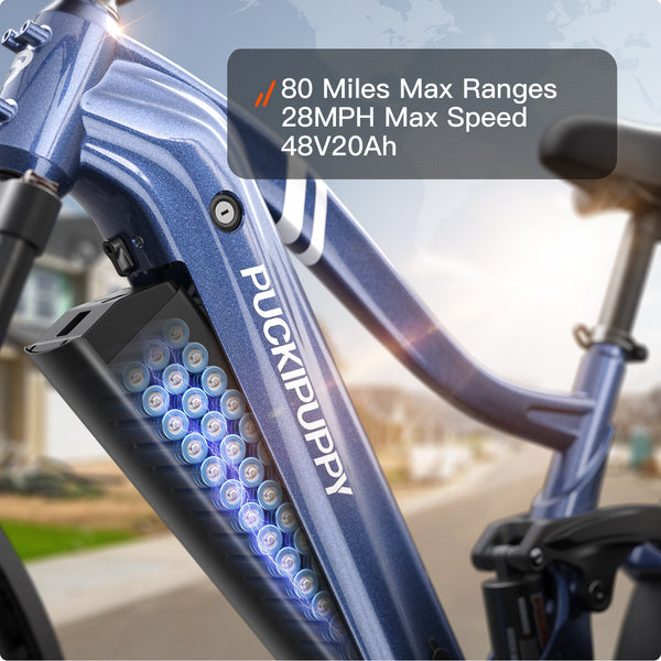 Boxer EbikeGrey Blue