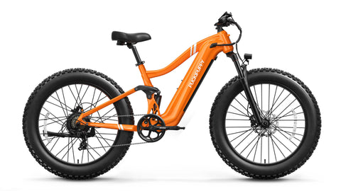 Boxer Ebike - Orange